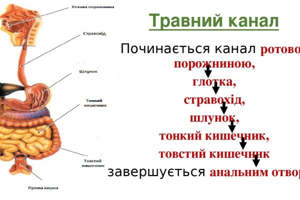Kraken ссылка официальная