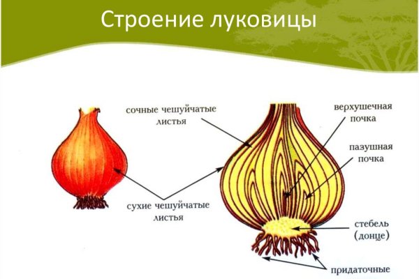 Украли аккаунт на кракене что делать